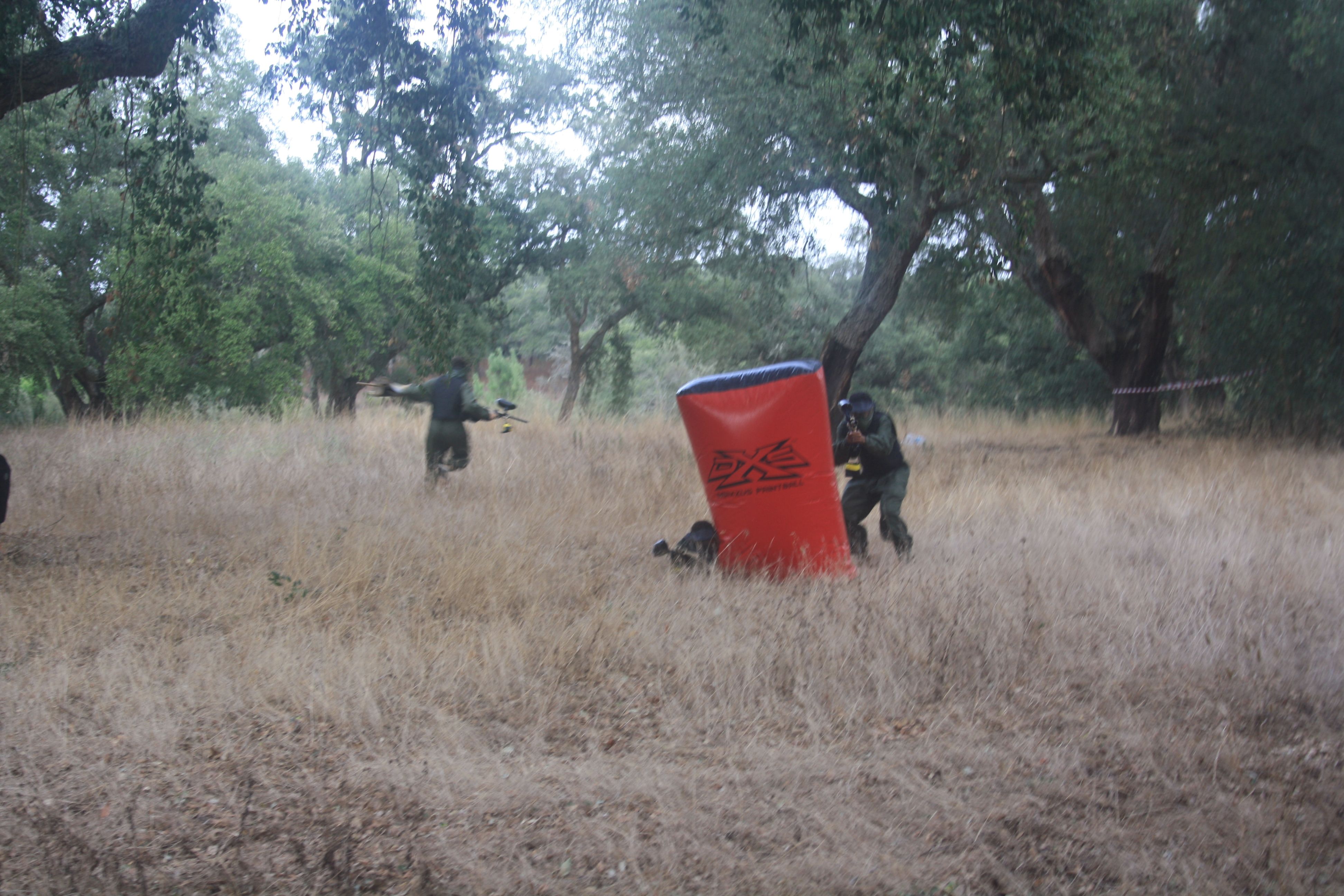 Mystery-Box Painball image