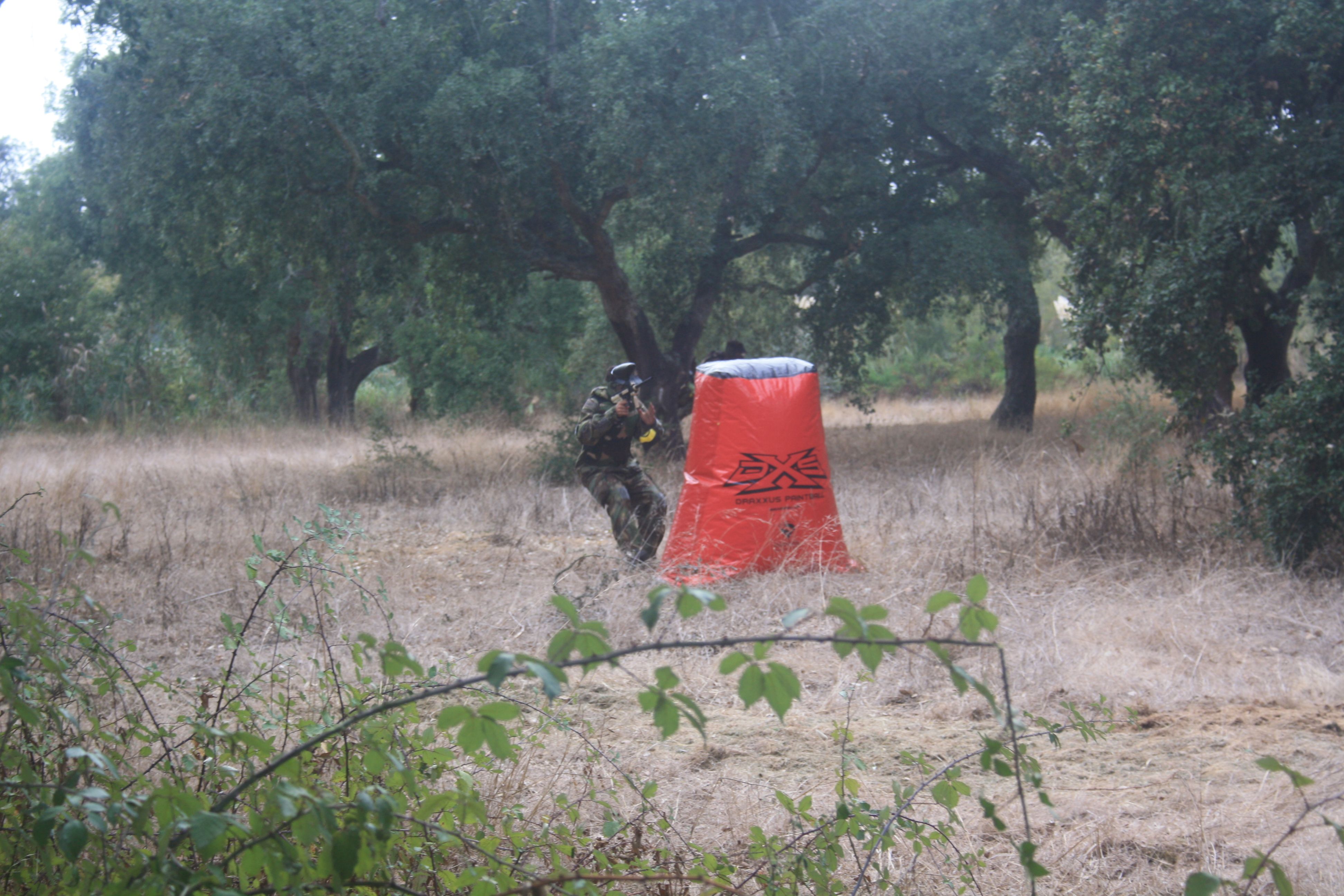 Mystery-Box Painball image