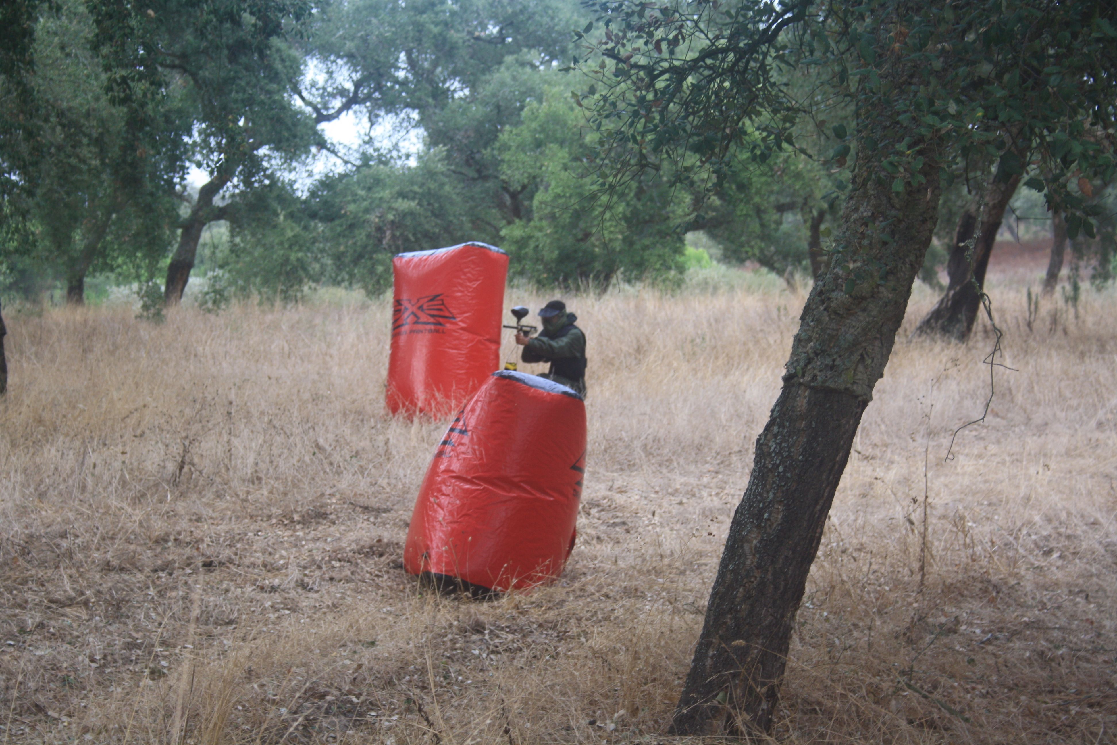 Mystery-Box Painball image